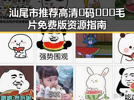 汕尾市推荐高清🈚码🔞❌♋毛片免费版资源指南