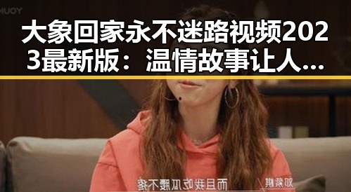 大象回家永不迷路视频2023最新版：温情故事让人感动