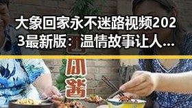 大象回家永不迷路视频2023最新版:温情故事让人感动