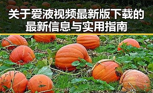 关于爱液视频最新版下载的最新信息与实用指南