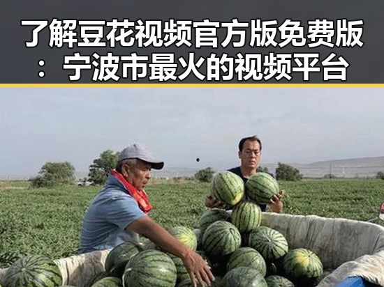 了解豆花视频官方版免费版：宁波市最火的视频平台