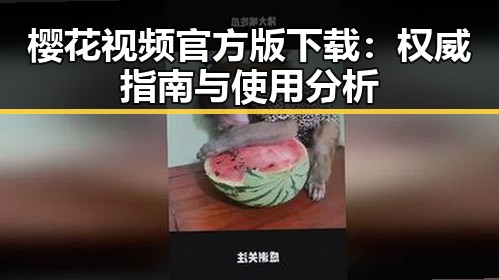 樱花视频官方版下载：权威指南与使用分析