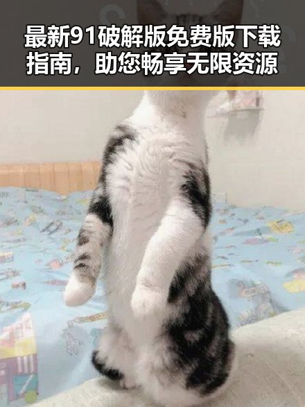 最新91破解版免费版下载指南,助您畅享无限资源