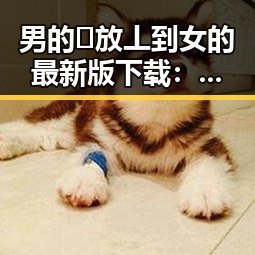 男的🈚放丄到女的最新版下载:最新动态与实用指南