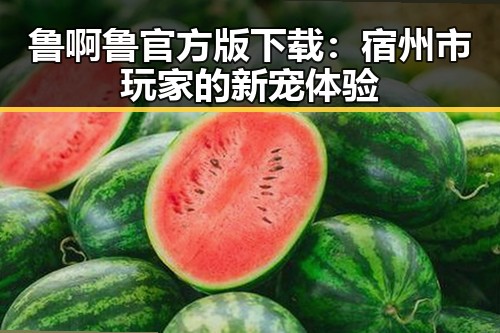 鲁啊鲁官方版下载：宿州市玩家的新宠体验