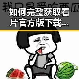 如何完整获取看片官方版下载免费版：最新指南解析
