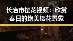 长治市樱花视频:欣赏春日的绝美樱花景象