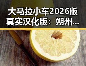 大马拉小车2026版真实汉化版:朔州市最新体验与评测