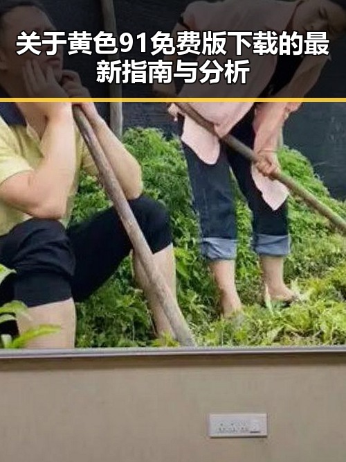 关于黄色91免费版下载的最新指南与分析