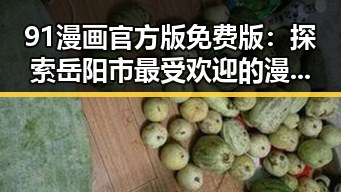 91漫画官方版免费版：探索岳阳市最受欢迎的漫画阅读平台