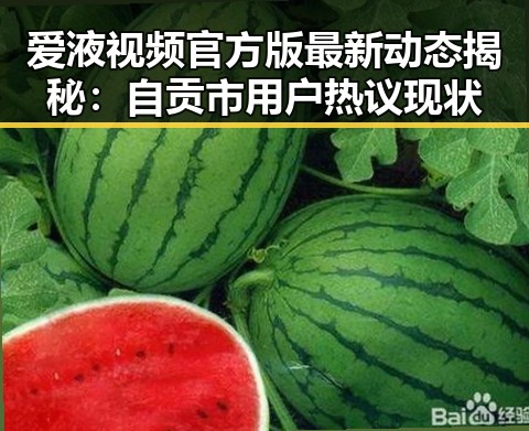 爱液视频官方版最新动态揭秘:自贡市用户热议现状