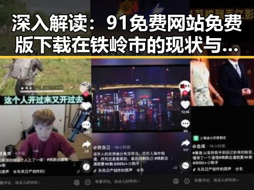 深入解读:91免费网站免费版下载在铁岭市的现状与发展