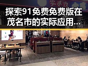 探索91免费免费版在茂名市的实际应用与优势
