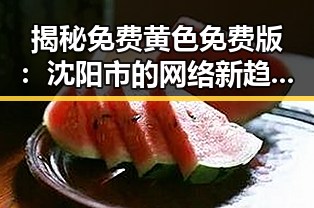 揭秘免费黄色免费版：沈阳市的网络新趋势