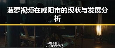 菠萝视频在咸阳市的现状与发展分析