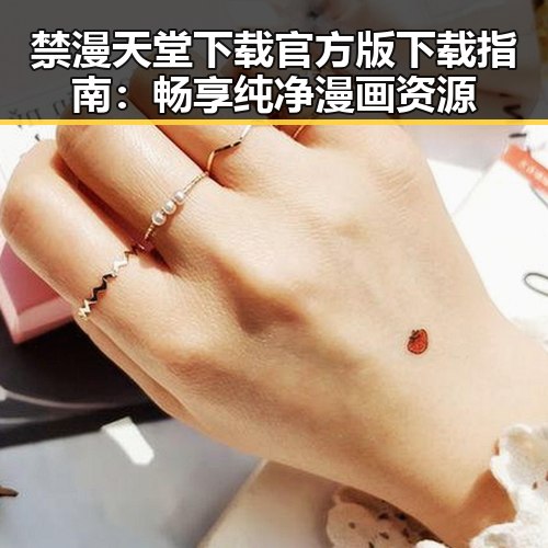 禁漫天堂下载官方版下载指南:畅享纯净漫画资源