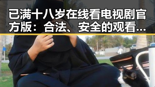 已满十八岁在线看电视剧官方版:合法、安全的观看渠道解析