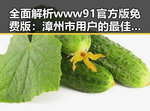 全面解析www91官方版免费版：漳州市用户的最佳选择