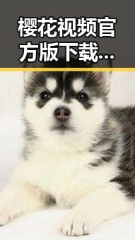 樱花视频官方版下载助你畅享娱乐新体验