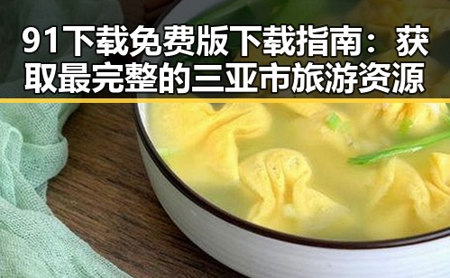 91下载免费版下载指南:获取最完整的三亚市旅游资源