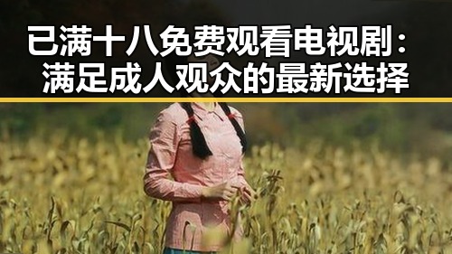 已满十八免费观看电视剧：满足成人观众的最新选择