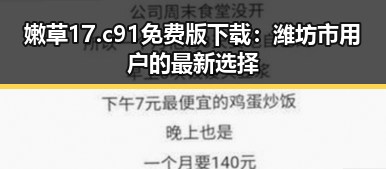嫩草17.c 91免费版下载：潍坊市用户的最新选择
