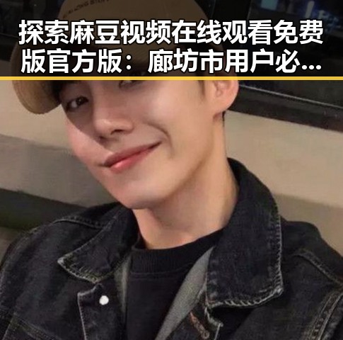 探索麻豆视频在线观看免费版官方版：廊坊市用户必看指南