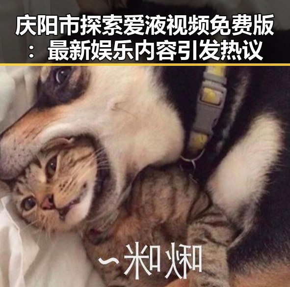 庆阳市探索爱液视频免费版：最新娱乐内容引发热议