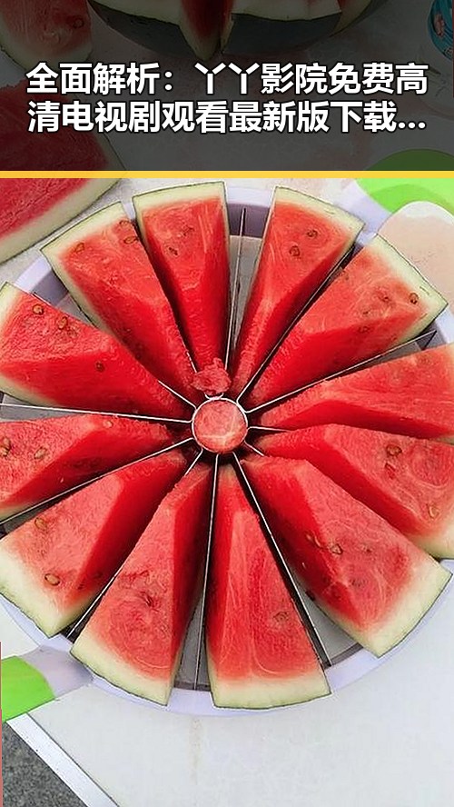 全面解析:丫丫影院免费高清电视剧观看最新版下载,体验极致清晰流畅