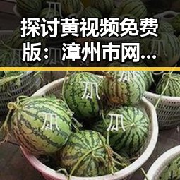 探讨黄视频免费版:漳州市网络资源的现状与影响