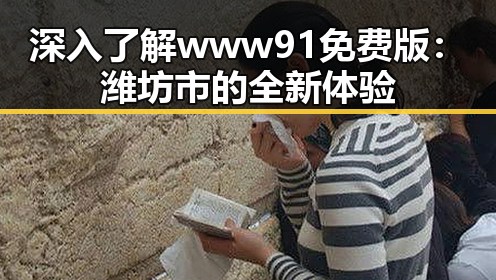 深入了解www91免费版：潍坊市的全新体验