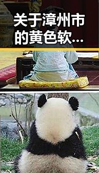关于漳州市的黄色软件下载免费官方版详细介绍