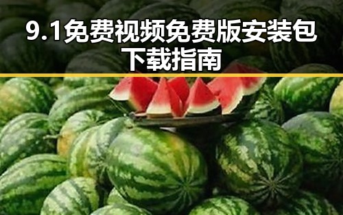 9.1免费视频免费版安装包下载指南