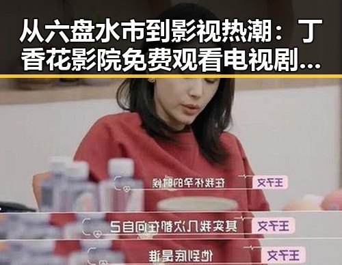 从六盘水市到影视热潮:丁香花影院免费观看电视剧锦绣未央官方版免费版的影响力变迁