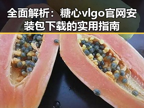 全面解析:糖心vlgo官网安装包下载的实用指南