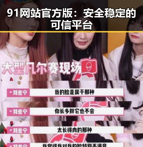 91网站官方版:安全稳定的可信平台