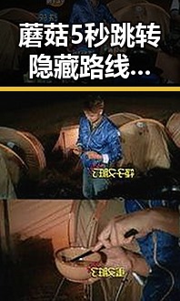蘑菇5秒跳转隐藏路线效果如何百度安卓版实测解析