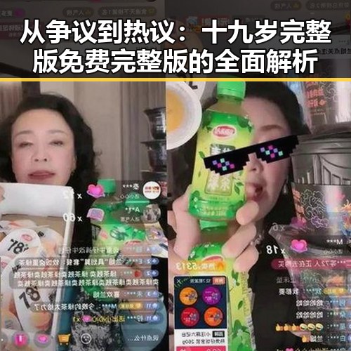 从争议到热议:十九岁完整版免费完整版的全面解析