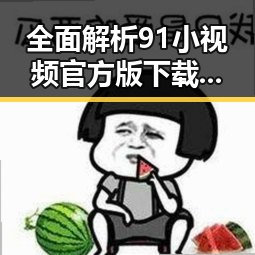 全面解析91小视频官方版下载免费版的最新动态与应用
