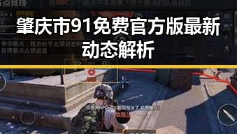肇庆市91免费官方版最新动态解析