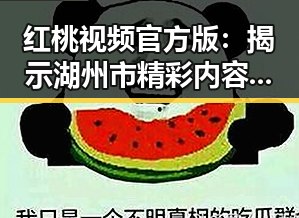 红桃视频官方版：揭示湖州市精彩内容与发展现状