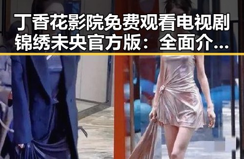 丁香花影院免费观看电视剧锦绣未央官方版：全面介绍与观看指南