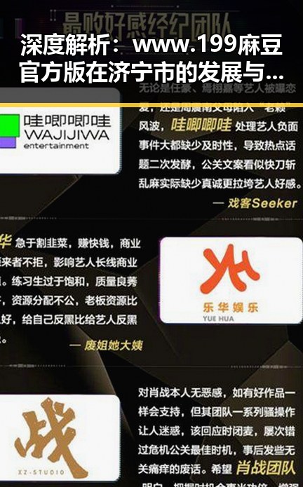 深度解析：www.199麻豆官方版在济宁市的发展与影响