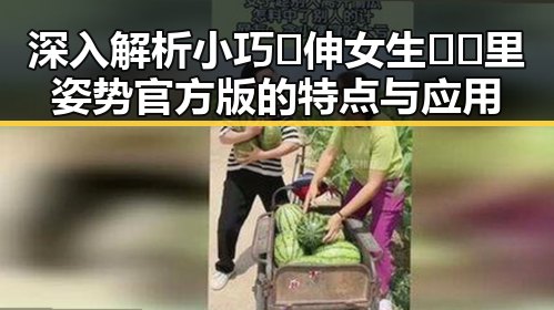 深入解析小巧🐥伸女生🍑🍑里姿势官方版的特点与应用