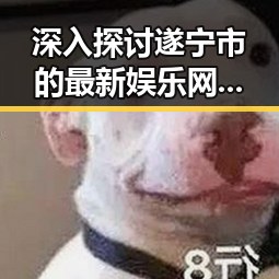 深入探讨遂宁市的最新娱乐网站:手机看片官方版