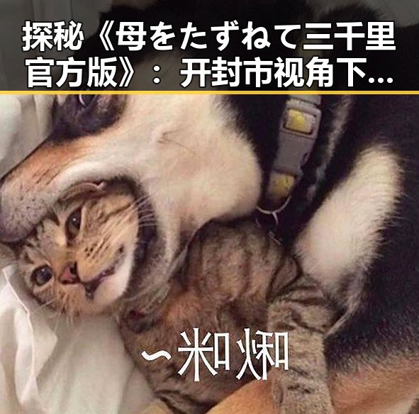 探秘《母をたずねて三千里官方版》:开封市视角下的经典再现