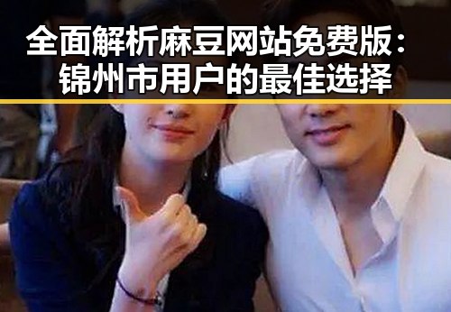 全面解析麻豆网站免费版：锦州市用户的最佳选择