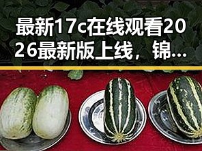 最新17c在线观看2026最新版上线，锦州市用户热议