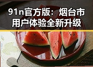 91n官方版：烟台市用户体验全新升级
