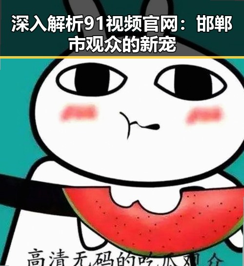 深入解析91视频官网：邯郸市观众的新宠